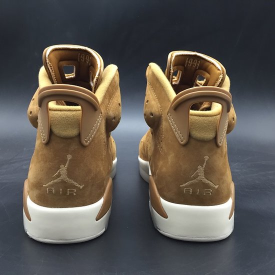 Air Jordan 6