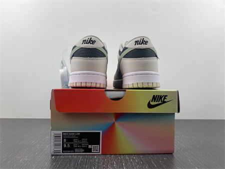Nike SB Dunk RU2236-565