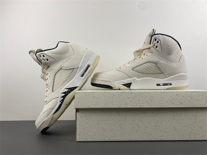 Jordan 5 Retro SE FN7405-100