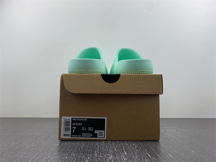 Nike Calm Slide DX4816-300