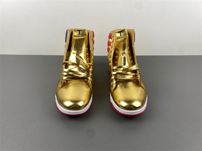 Air Jordan 1 PKTLP001