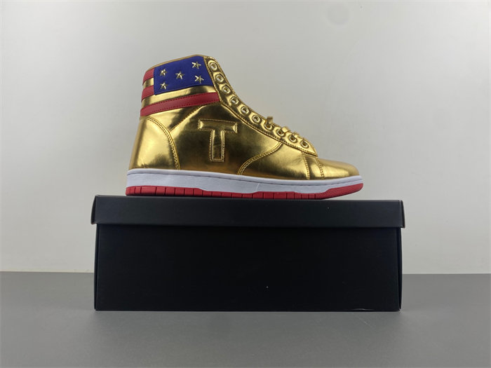 Air Jordan 1 PKTLP001