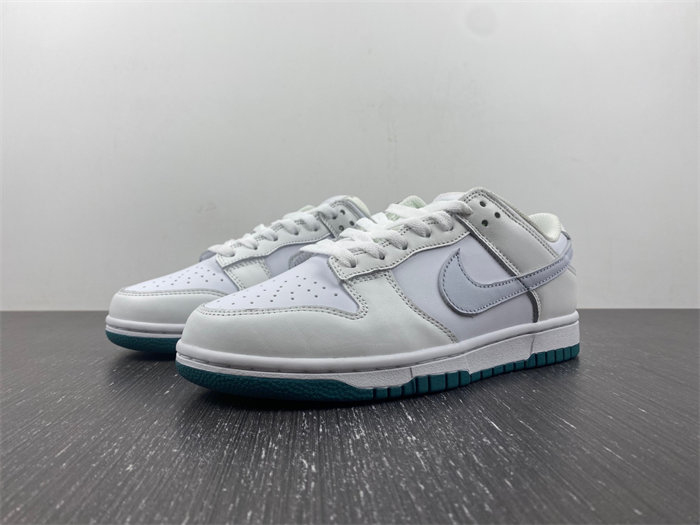 Nike DUNK LOW FD9911-101