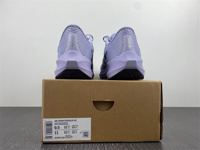 Nike Pegasus DV3853-500