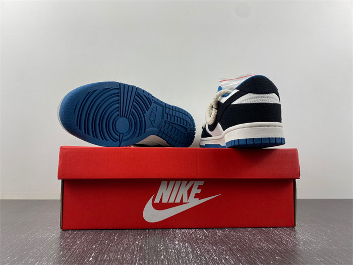 Nike SB Dunk Low DV0834-101