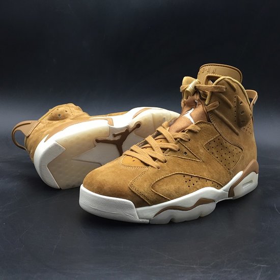 Air Jordan 6