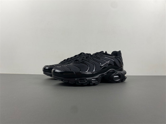 Nike Air Max Plu 604133-050