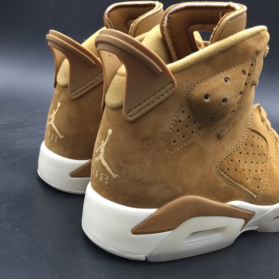 Air Jordan 6