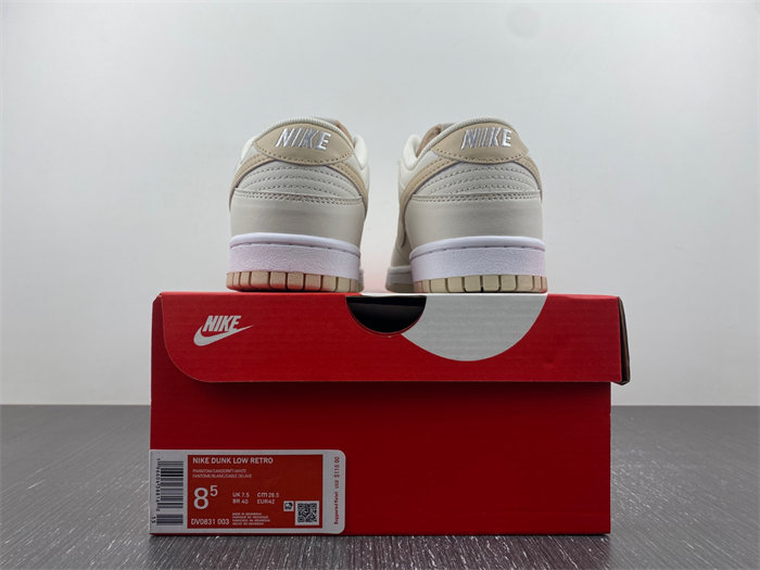 Nike Dunk Low DV0831-003