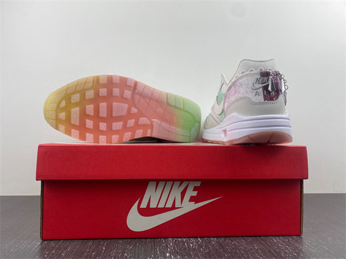 Nike Air Max 1 SNKRS FJ7734-101
