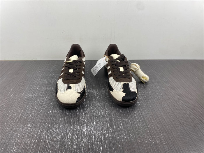 NOTITLE X SAMBA OG