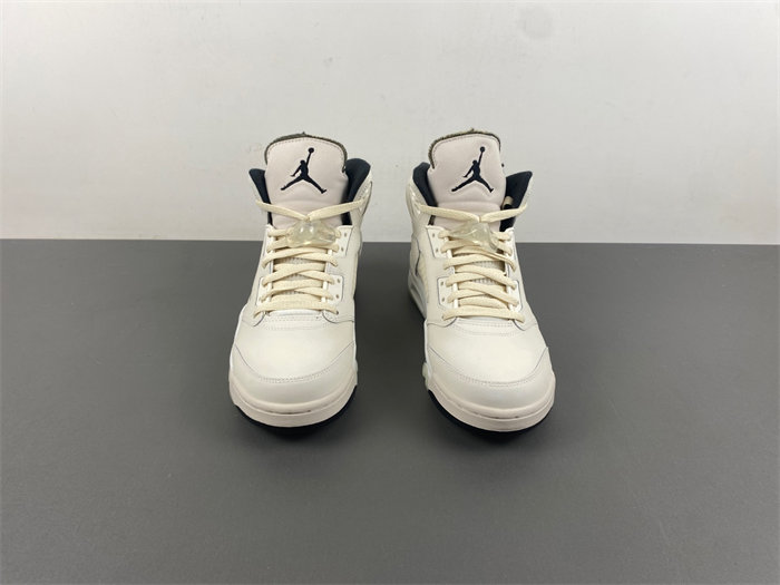 Jordan 5 Retro SE FN7405-100