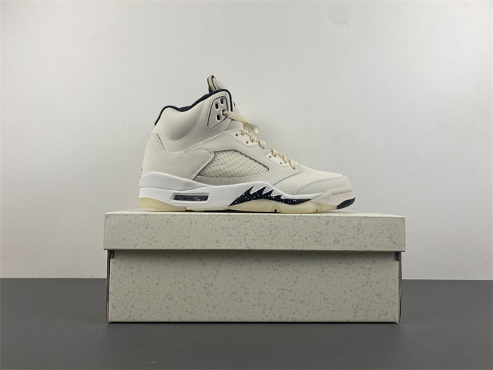 Jordan 5 Retro SE FN7405-100