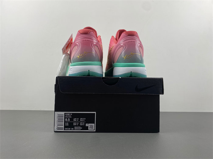 Zoom Kobe 6 ZK6 CM2190-201