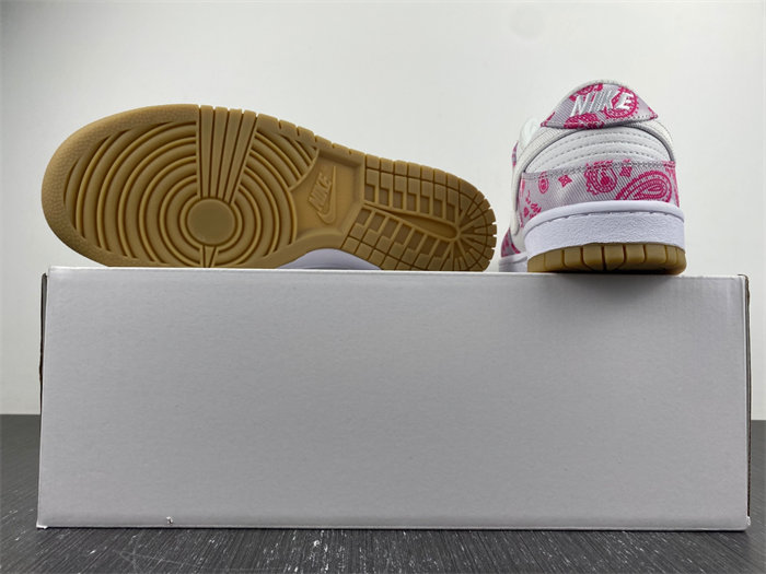 Nike SB Dunk Low Retro SP CT5053-061