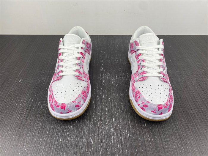 Nike SB Dunk Low Retro SP CT5053-061