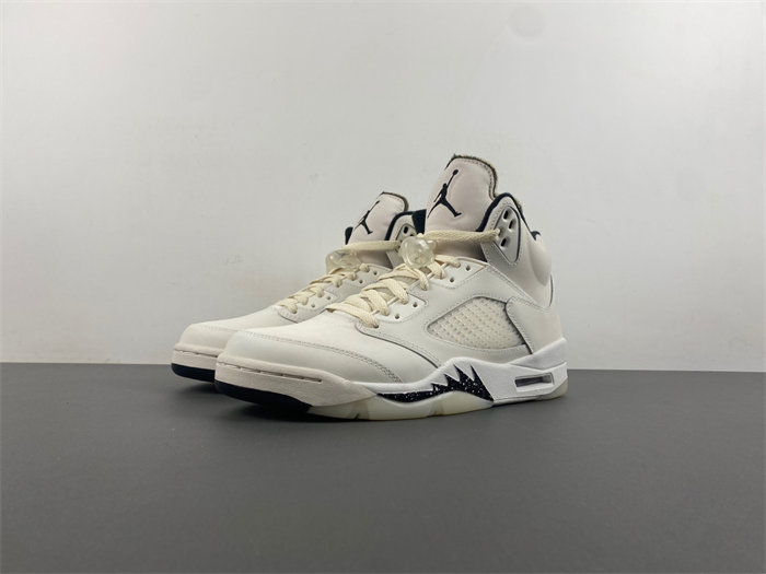 Jordan 5 Retro SE FN7405-100
